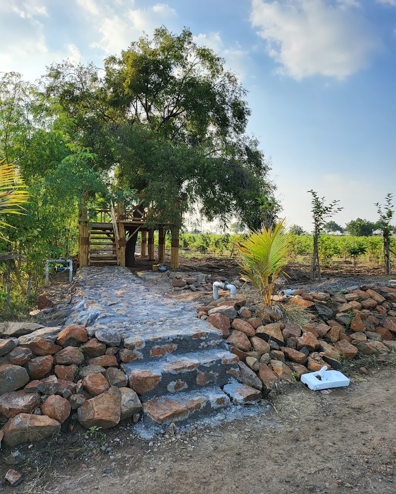 21st Century Farms - Agricultural Seed Store in Bijapur