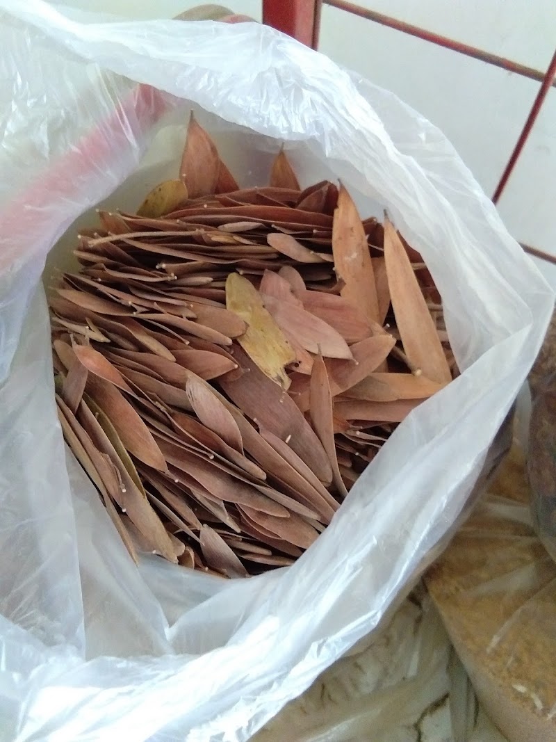 Alankar Beej Bhandar - Agricultural Seed Store in Bhilai