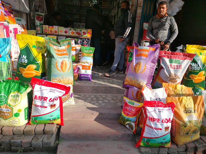 Ashok beej bhandar - Agricultural Seed Store in Ambikapur