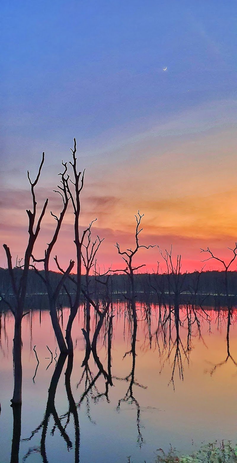 Barnawapara Wildlife Sanctuary -  Chhattisgrah Tourist Spots in Unnamed Road, Nanwapara, Chhattisgarh 493229, India