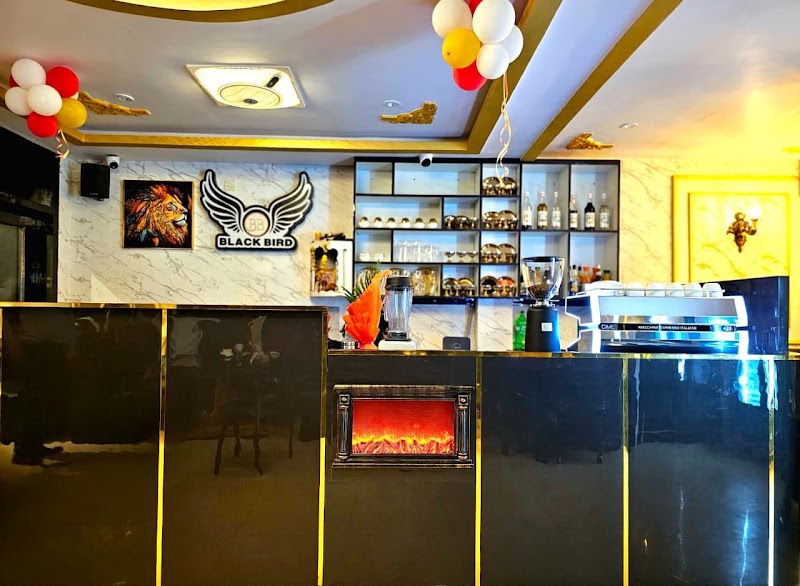 Black bird hotel - Restaurants in Jagdalpur
