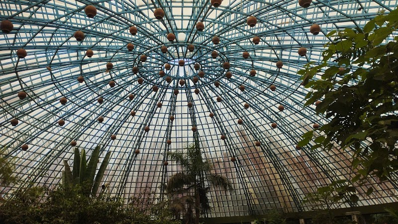 Butterfly Park