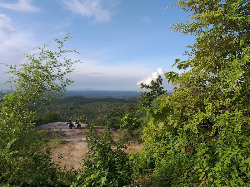 Coffee View Point
