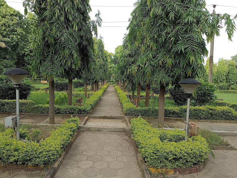 CSEB Garden