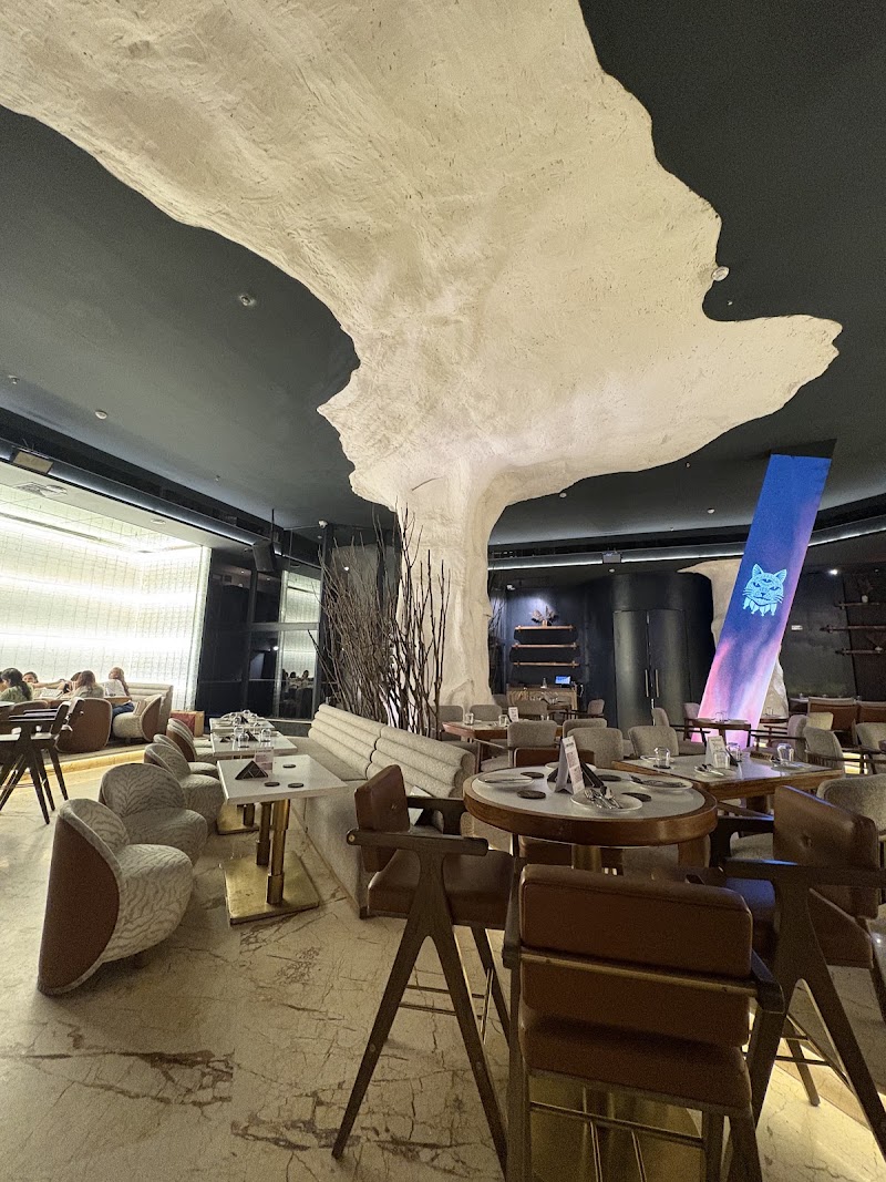 Diablo Raipur - Restaurants in Baloda Bazar