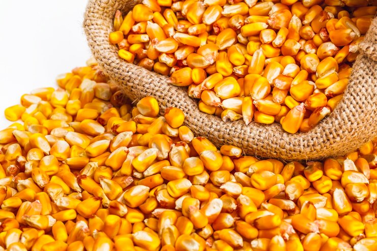 Krishna Agro