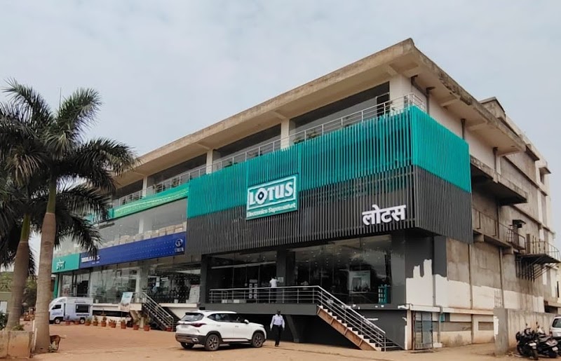 Lotus Electronics