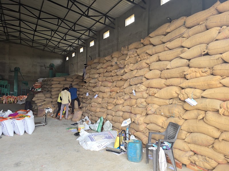 Madwarani Paddy Seeds - Agricultural Seed Store in Janjgir-Champa