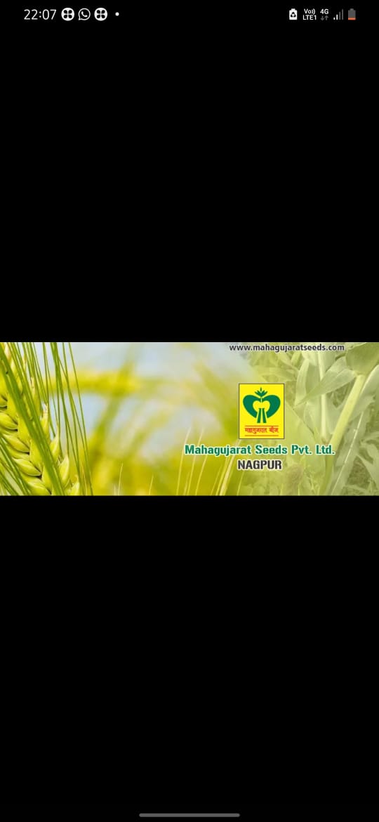 Mahagujarat Seeds Private Limited company
