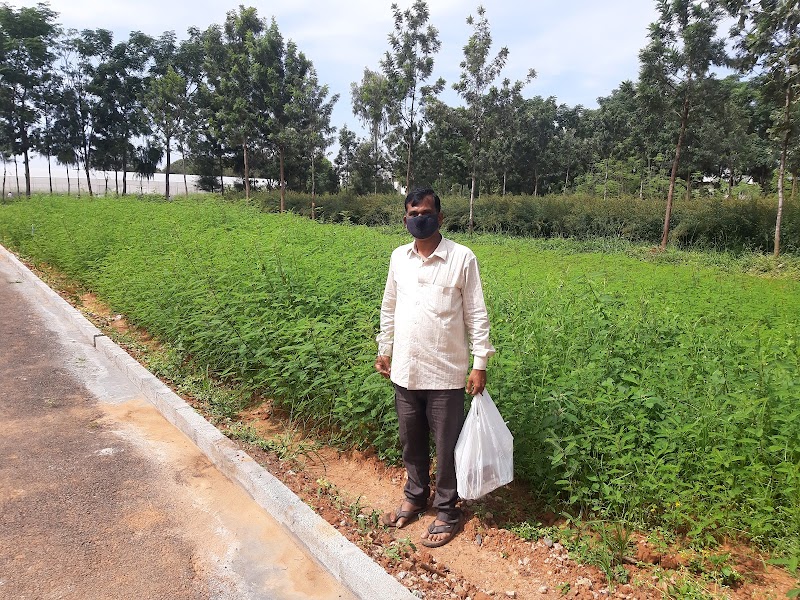 Maruthi Fodder Seeds Corporation