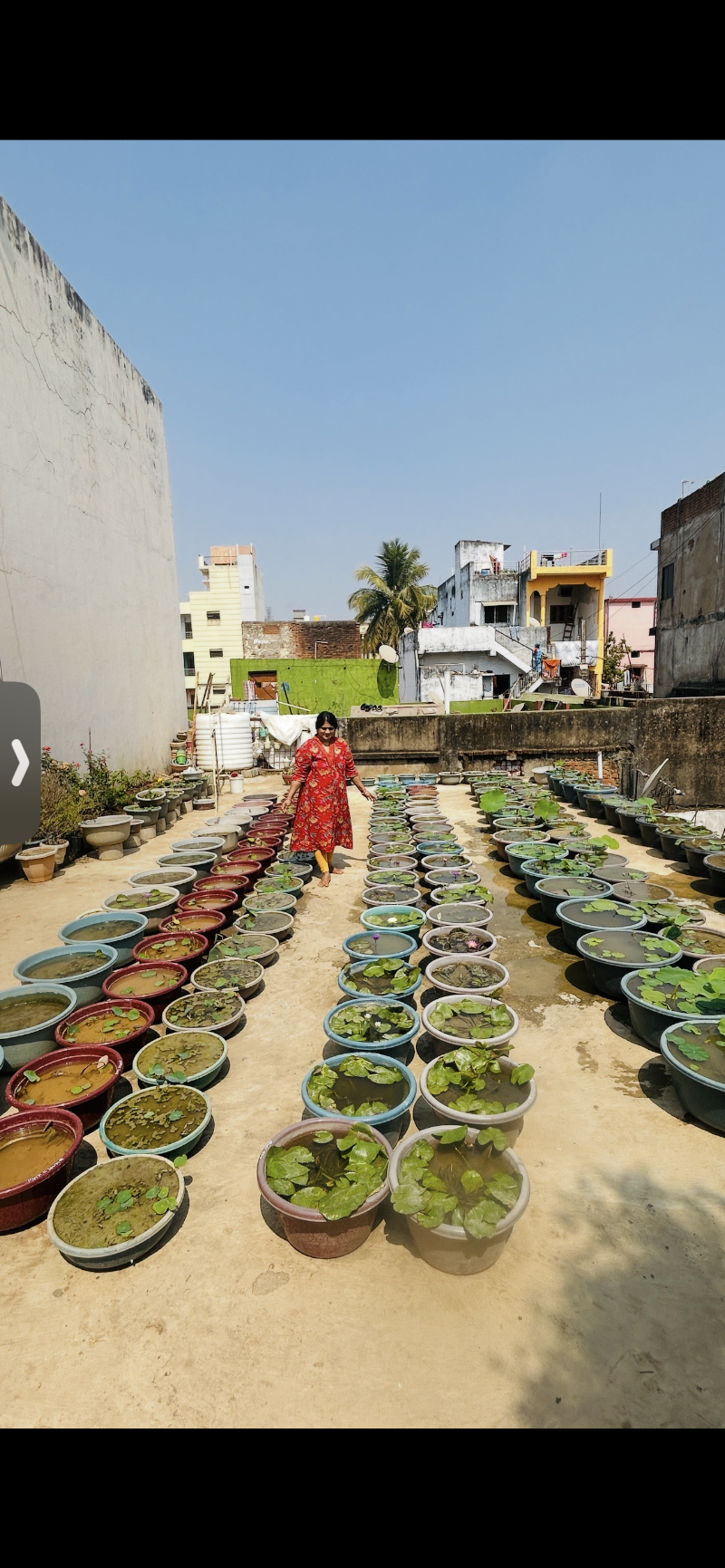 Meenas Garden - Agricultural Seed Store in Jagdalpur