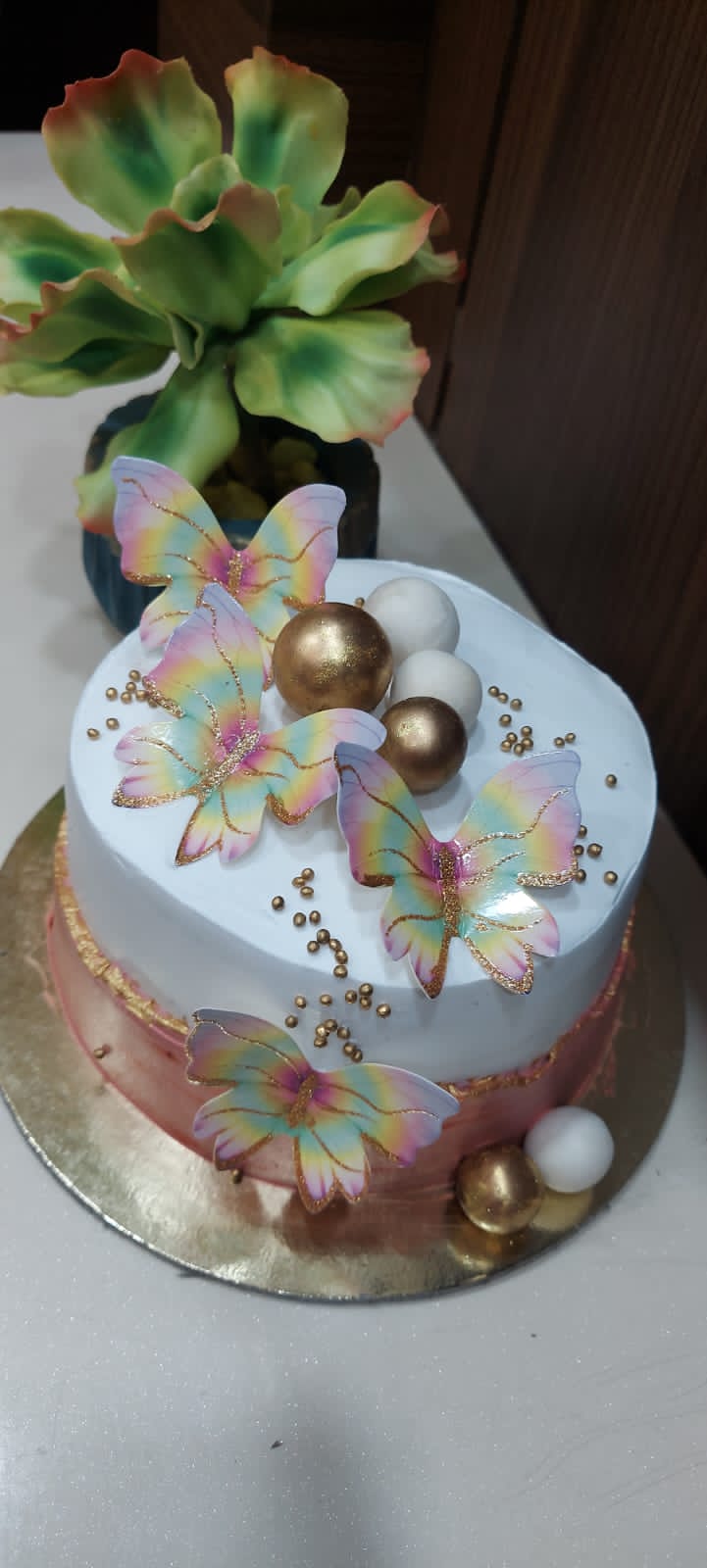 Mom's Magical Hands - Bakery in Rajnandgaon