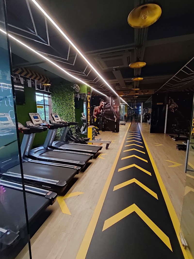 Prime Fitness Gym 