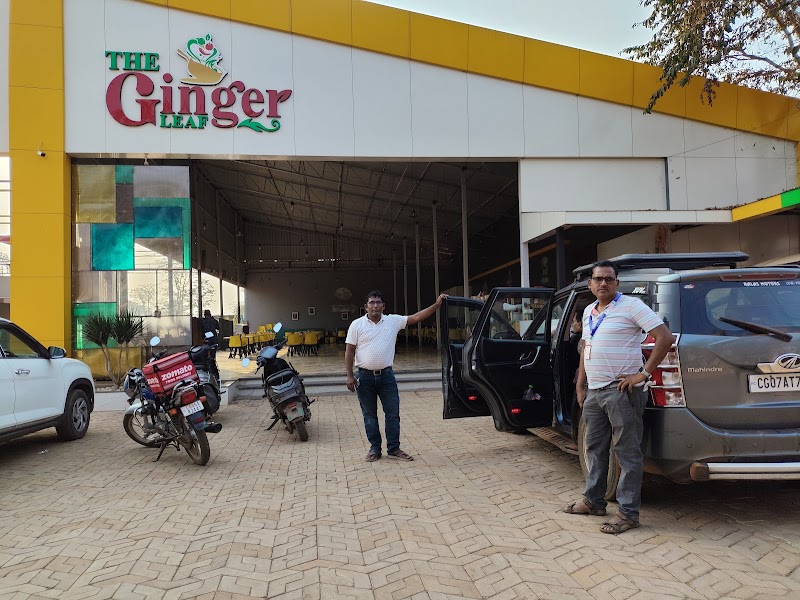 The Ginger Leaf