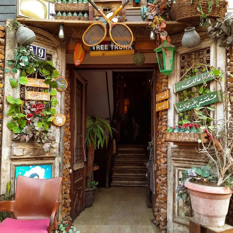 Tree Trunk - Restaurants in Korba