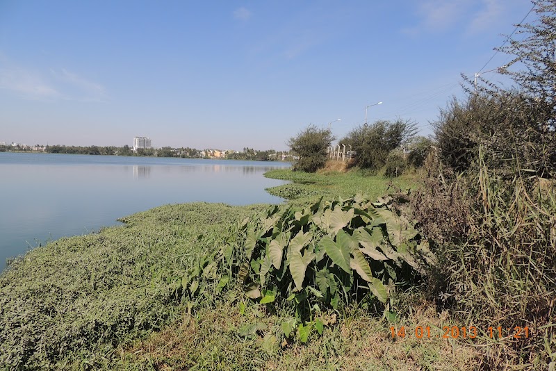 Varthur Lake