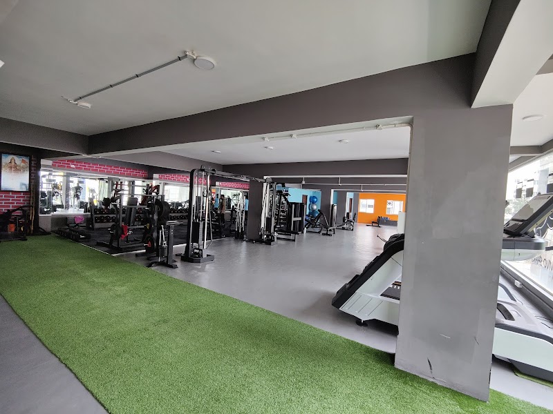 Vivo Sharp Fitness